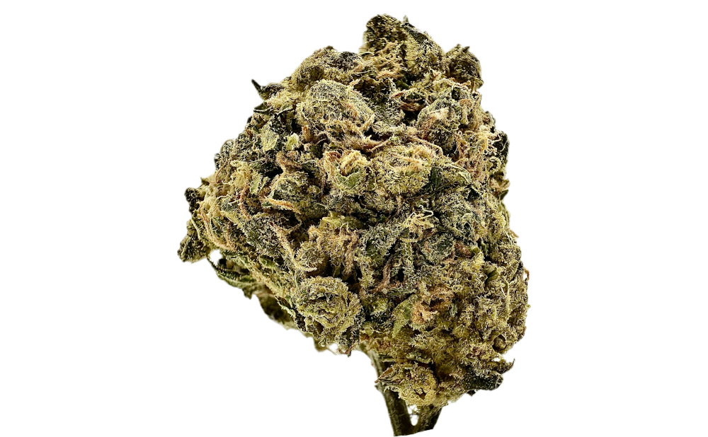 Cannamedical CM 28/1 Sour